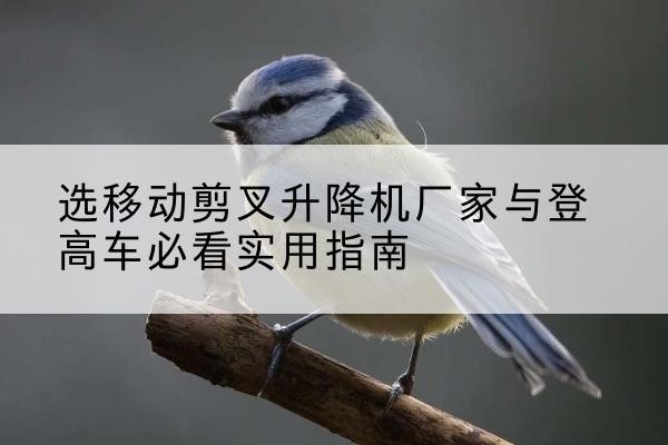 井陉矿电动升降机厂家-选移动剪叉升降机厂家与登高车必看实用指南