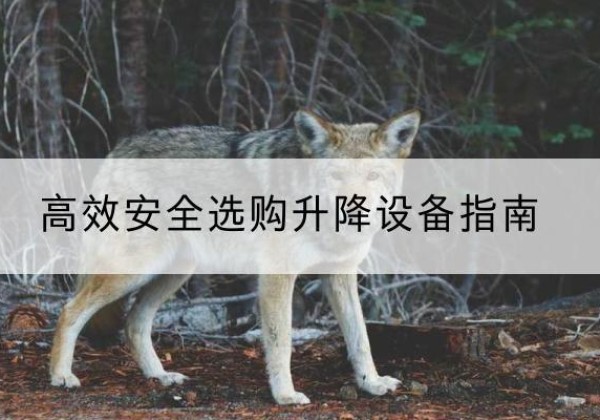 井陉矿升降货梯厂家推荐-*安全选购升降设备指南